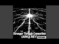 Stronger Through Connection