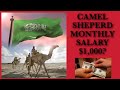 CAMEL SHEPERD, SALARY HOW MUCH?