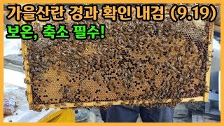 [양봉교육] 9월19일 내검. 월동산란의 좋은 예