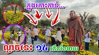 ល្ងាចនេះកាន់តែពិសេសក្នុងកោះ #វត្តតាសុត #អាមាត្យជន