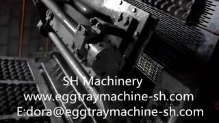 Peru Full Automatic  High Speed Egg Tray Machine Production Line SHZ-3600