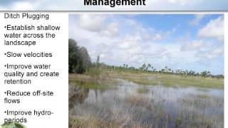 CHNEP Conservation Lands: Charlotte Harbor Flatwoods Initiative: Steve Sentes