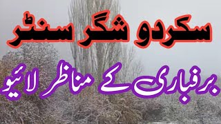 #skardu snowfall live updates || Swat me barafbari ka aghaz #snowfall #barafbari #liveupdates