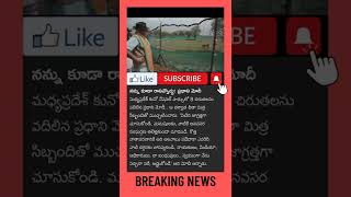 నన్ను కూడా రానివ్వద్దు : మోదీ || #pmmodi #tiger #viral