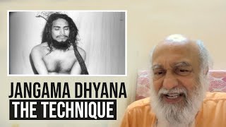 Jangama Dhyana - The Technique | Thus Spake Babaji - online Q&A, No.156