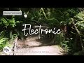 Best Electronic Uplifting Music for Video [ Yarin Primak - Bringing Me Joy ]