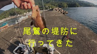 三重県尾鷲へ行ってきた