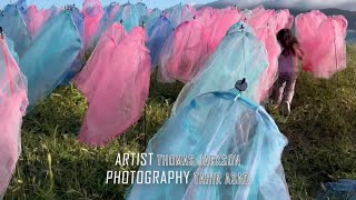 How to see Tiburon’s newest public art installation