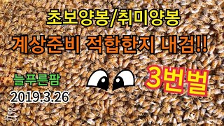 초보양봉/취미양봉 계상준비 벌이 넘치네 넘쳐 봄벌내검 3번벌  늘푸른팜 2019.3.26