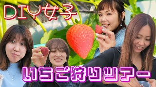 【今が旬！】都内でいちご狩りができる！いちご狩りツアー＆BBQ【DIY女子】