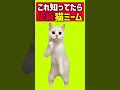 これ知ってる人いる？ダンス猫ミームmeme shorts