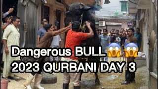 Dangerous Bull Qurbani 2023 Full Video || Part 2 Link in Description