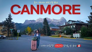 🇨🇦 혼자 캐나다 여행 EP.6 캔모어 • 드디어 야생동물 목격👀 • 밴프랑 비슷한 듯 다른 뷰 • 숲 속의 오두막같은 예쁜 숙소 • Canada solo trip