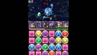 パズドラ｜ゼウス降臨！　闇ゼウスパーティー　ノーコン