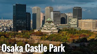 大阪城公園の紅葉 見頃までもう少し 2024 Osaka Walk- Autumn leaves at Osaka Castle Park 4K HDR Japan