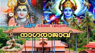 നാഗരാജാവ് വൃശ്ചികമാസത്തിലെ ആയില്യം നാളിൽ വരുന്ന ക്ഷേത്രം/ Saisreechakra