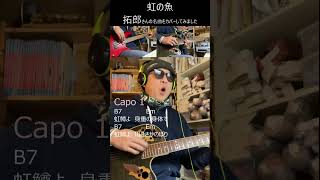 拓郎さんの名曲　虹の魚 cover　#shorts #ギター #吉田拓郎 #弾き語り