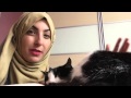 #ramadaninaday - Cat