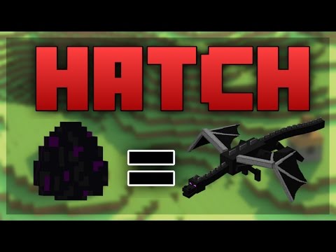 Minecraft PS4 HOW TO HATCH THE ENDER DRAGON EGG Minecraft PS4 HOW TO HATCH THE ENDER DRAGON EGG