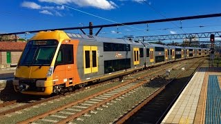 Sydney Trains Vlog 967: Royal Easter Show Special Trains