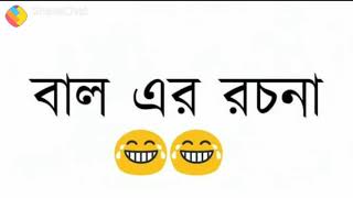 বাল (চুল) এর বাংলা রচনা, আনন্দ উপভোগ করার জন্য...