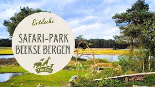 Ausflugstipp: Safari-Park Beekse Bergen