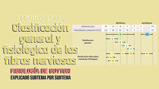 CAP 47 2/3: Clasificación general y fisiológica de las fibras nerviosas l Fisiología de Guyton