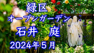 【４K 緑区オープンガーデン　石井庭　バラに囲まれた個人邸2024】今が見頃🌹Private garden イングリッシュガーデン🌹石井邸