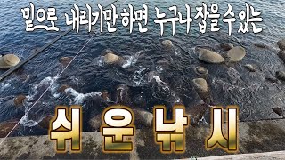 가족과 연인과 간단하고 쉽게 손맛 볼 수 있는 낚시🎣!