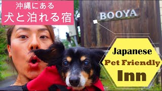 Japanese Pet Friendly Hotel / 沖縄のペットと泊まれるコテージ