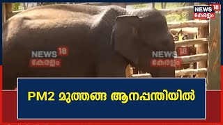 Kerala News | വനംവകുപ്പിന്റെ ദൗത്യസംഘം പിടികൂടിയ കാട്ടാന PM 2 ഇനി Muthangaയിലെ ആനപ്പന്തിയിൽ