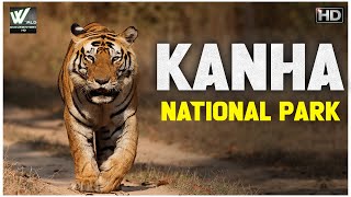 कान्हा राष्ट्रीय उद्यान मध्य प्रदेश | Kanha National Park Madhya Pradesh | World Documentary HD