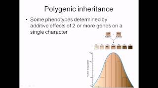 Polygenic inheritance