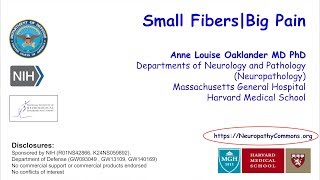 Anne Louise Oaklander | Small Fibers, Big Pain || Radcliffe Institute