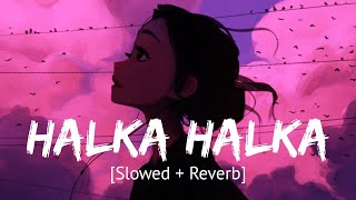 Halka Halka [Slowed + Reverb] Sunidhi Chauhan & Divya Kumar