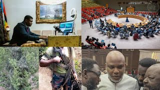 BREAKING NEWS: DELE FAROTIMI SPEAK OUT FOR MAZI NNAMDI KANU AND MSE