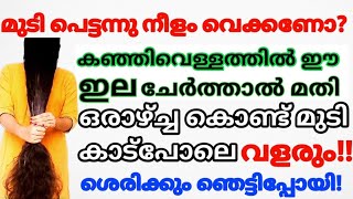 കഞ്ഞിവെള്ളത്തിൽ ഇതൊന്നു  ചേർത്ത് തേച്ചാൽ എത്ര വളരാത്ത മുടിയും കാടുപോലെ വളരും#trending#hairpack