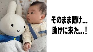 【超衝撃】殿堂入りボケての面白画像で笑ったら即引退【ツッコミ】【総集編387】