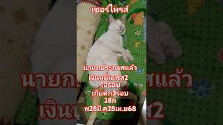 เซอร์ไพรส์นายกประกาศแล้ว#เงินหมื่นเฟส2 #เงินดิจิทัล #รอบเก็บตก #3รอบ