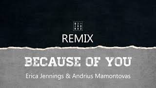 Erica Jennings \u0026 Andrius Mamontovas - Because Of You (JuoKaz Remix)