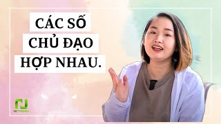 Bộ Số Chủ Đạo Hợp Nhau Trong Thần Số Học | Giải Mã Cuộc Đời !