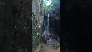 ബ്രൈമൂർ എസ്റ്റേറ്റിനുള്ളിലെ വെള്ളച്ചാട്ടം... Braemore Waterfalls #travel #braemore