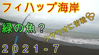 【海釣り】日高フィハップ海岸で投げ釣り！マツカワ狙いのはずが