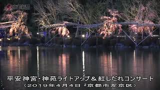 【過去動画】京都・平安神宮「紅しだれコンサート」（2019年4月4日　京都市左京区）