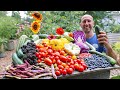 Astonishing July Garden Harvest 😮