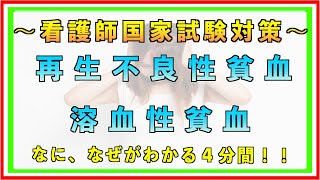 【4分でわかる】再生不良性貧血と溶血性貧血【看護師国家試験合格への道】