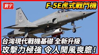 全新升級！F 5E虎式戰鬥機魔改QF5無人機，具備極強的攻擊能力，令人聞風喪膽！#台灣 #台灣軍事 #台灣軍武