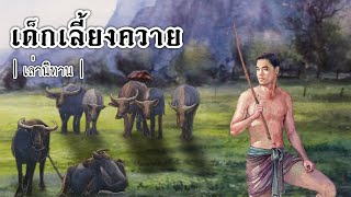 เล่านิทาน EP.243 | เด็กเลี้ยงควาย