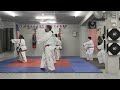 simple middle punch by Master Dol and students  #action #taekwondoitf #martialarts #taekwondo