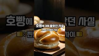 호빵과 찐빵은 뭐가 다른걸까?